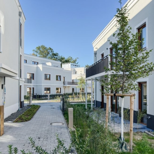 Rosenhöhe Anja Krohnen 