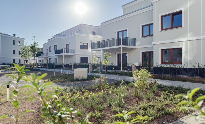 Rosenhöhe Anja Krohnen Homestaging