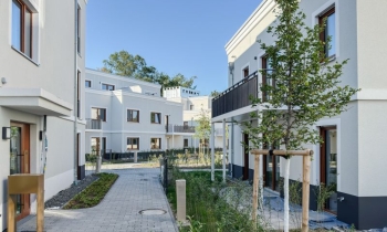 Rosenhöhe Anja Krohnen 