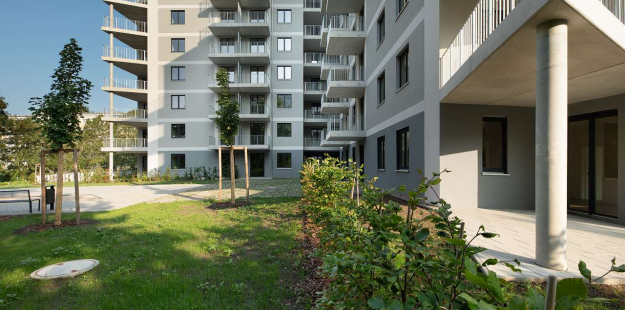 190808_Flämingstraße_02.jpg