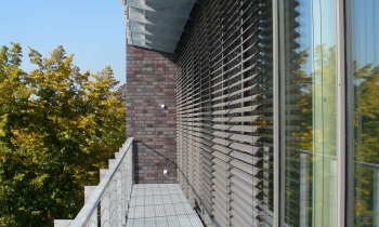 Baufeld